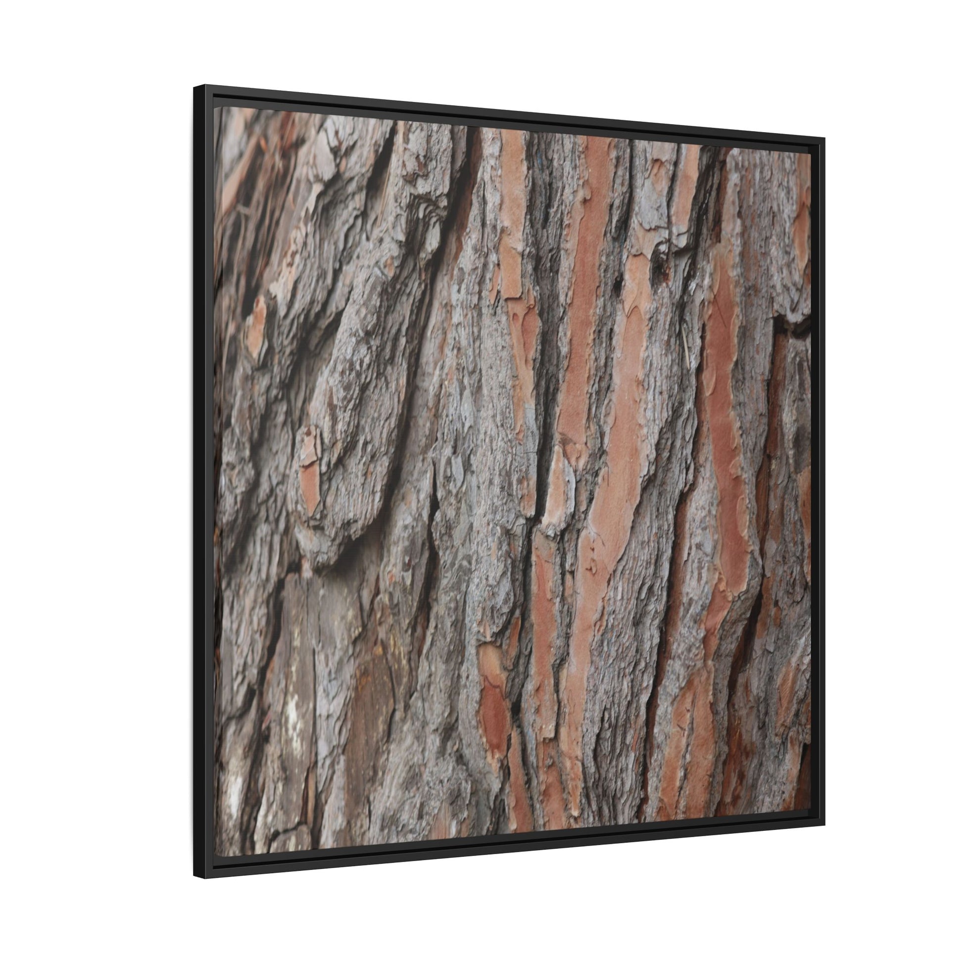Woodland Layers - Unique Stretched Canvas Wall Art - Art By Earth