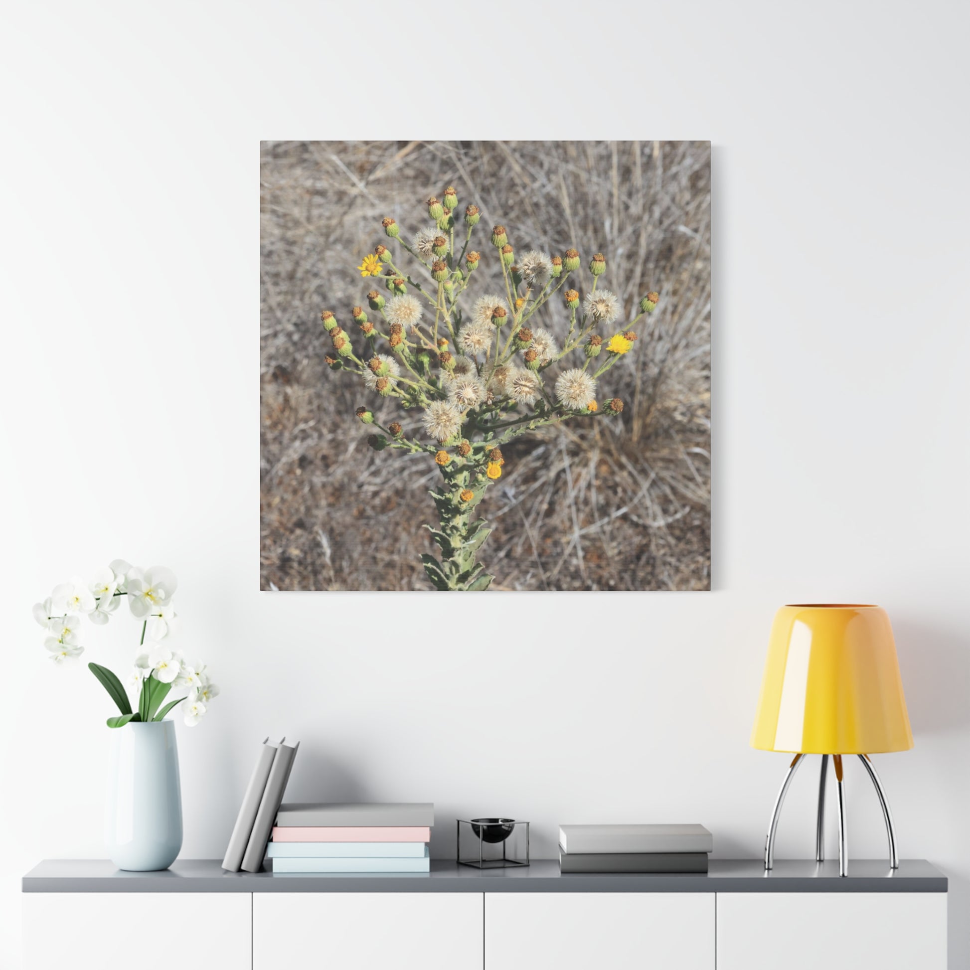 Whispers of the Dry Meadow - Unique Stretched Canvas Wall Art - Art By Earth