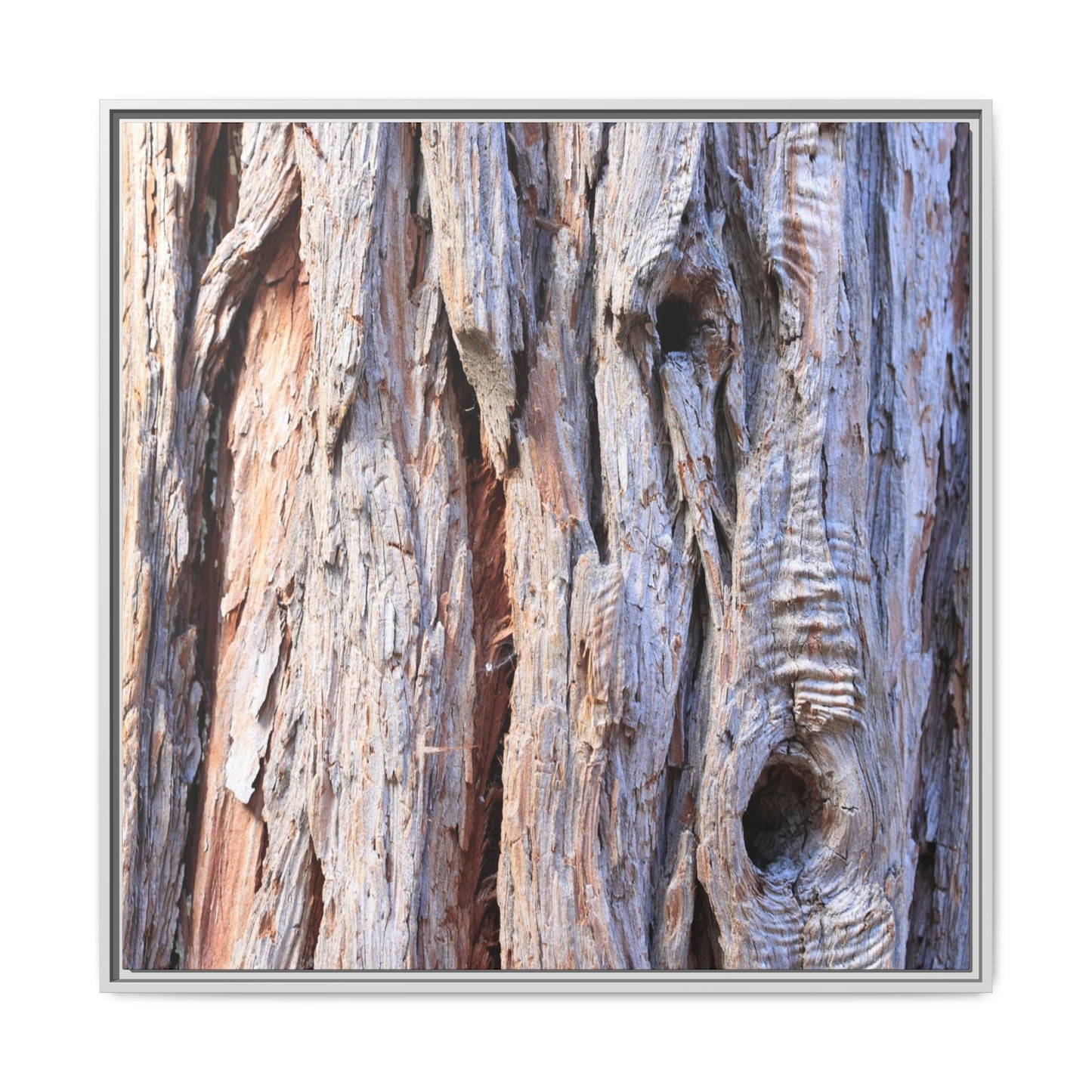 Nature's Grain - Unique Stretched Canvas Wall Art - Art By Earth