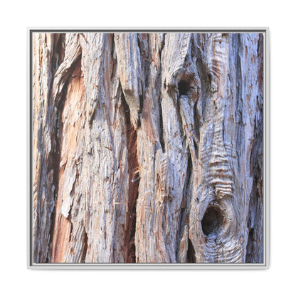 Nature's Grain - Unique Stretched Canvas Wall Art - Art By Earth