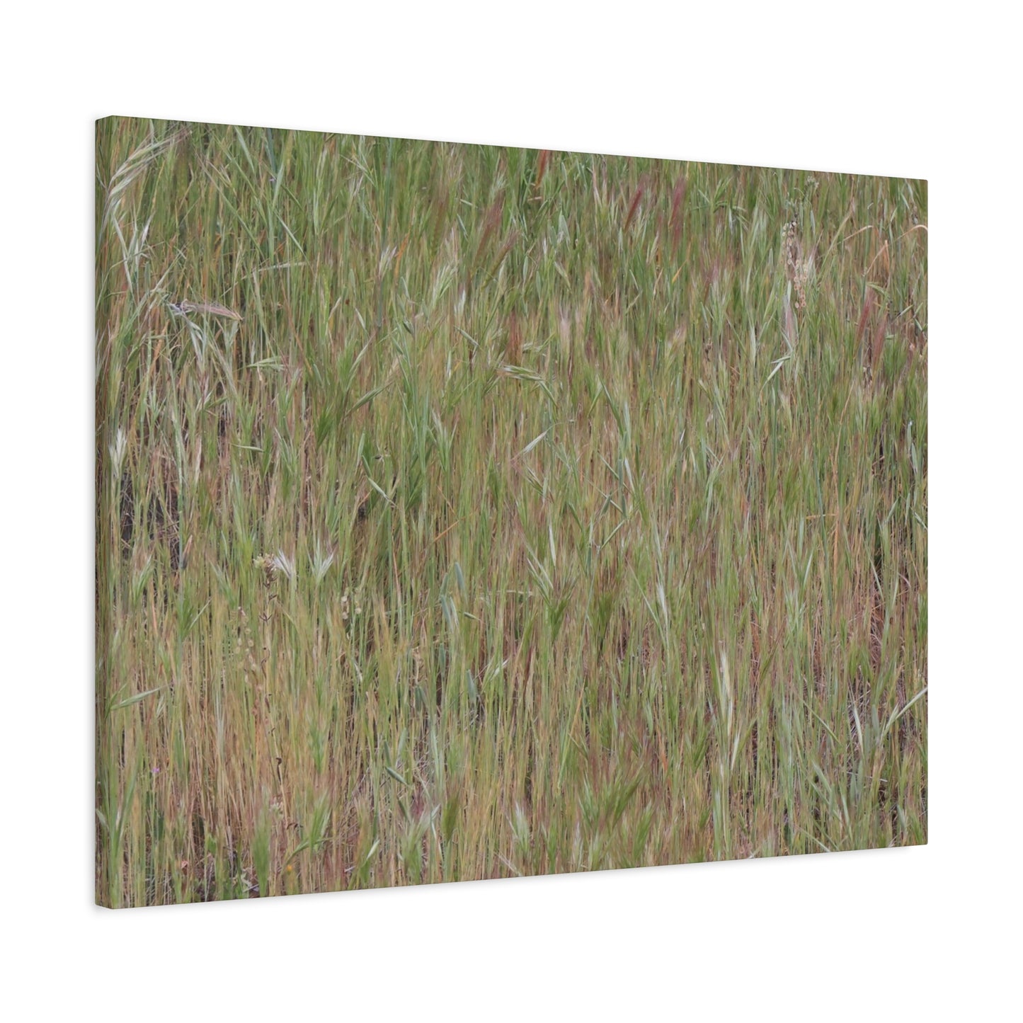 Whispers of the Prairie - Unique Frameless Canvas Wall Art - Art By Earth