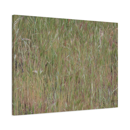 Whispers of the Prairie - Unique Frameless Canvas Wall Art - Art By Earth