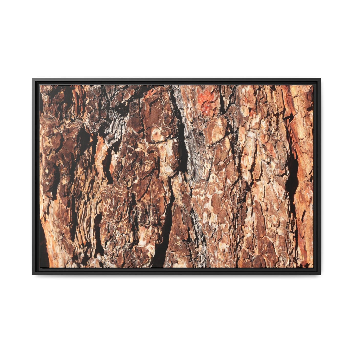 Nature's Rugged Canvas - Unique Stretched Canvas Wall Art