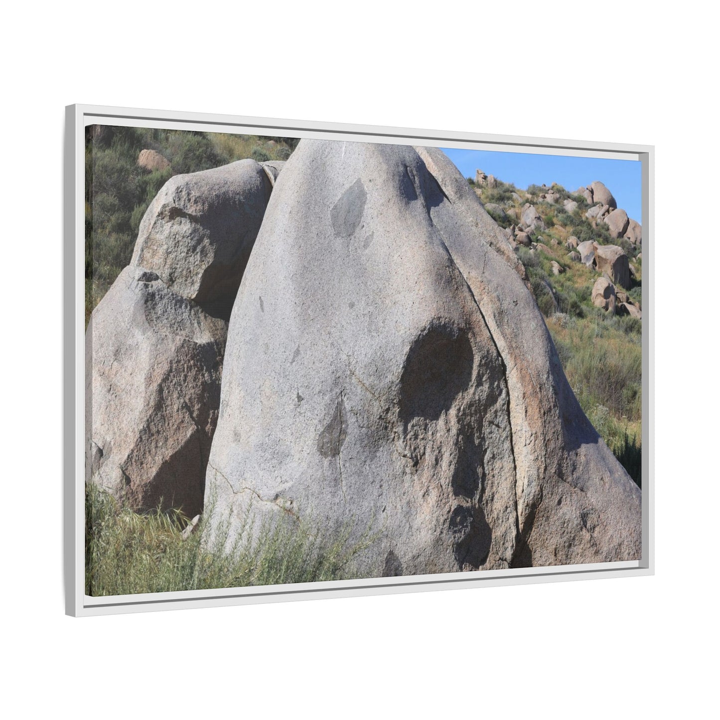 Skull Rock Desert - Unique Stretched Canvas Wall Art - Art By Earth