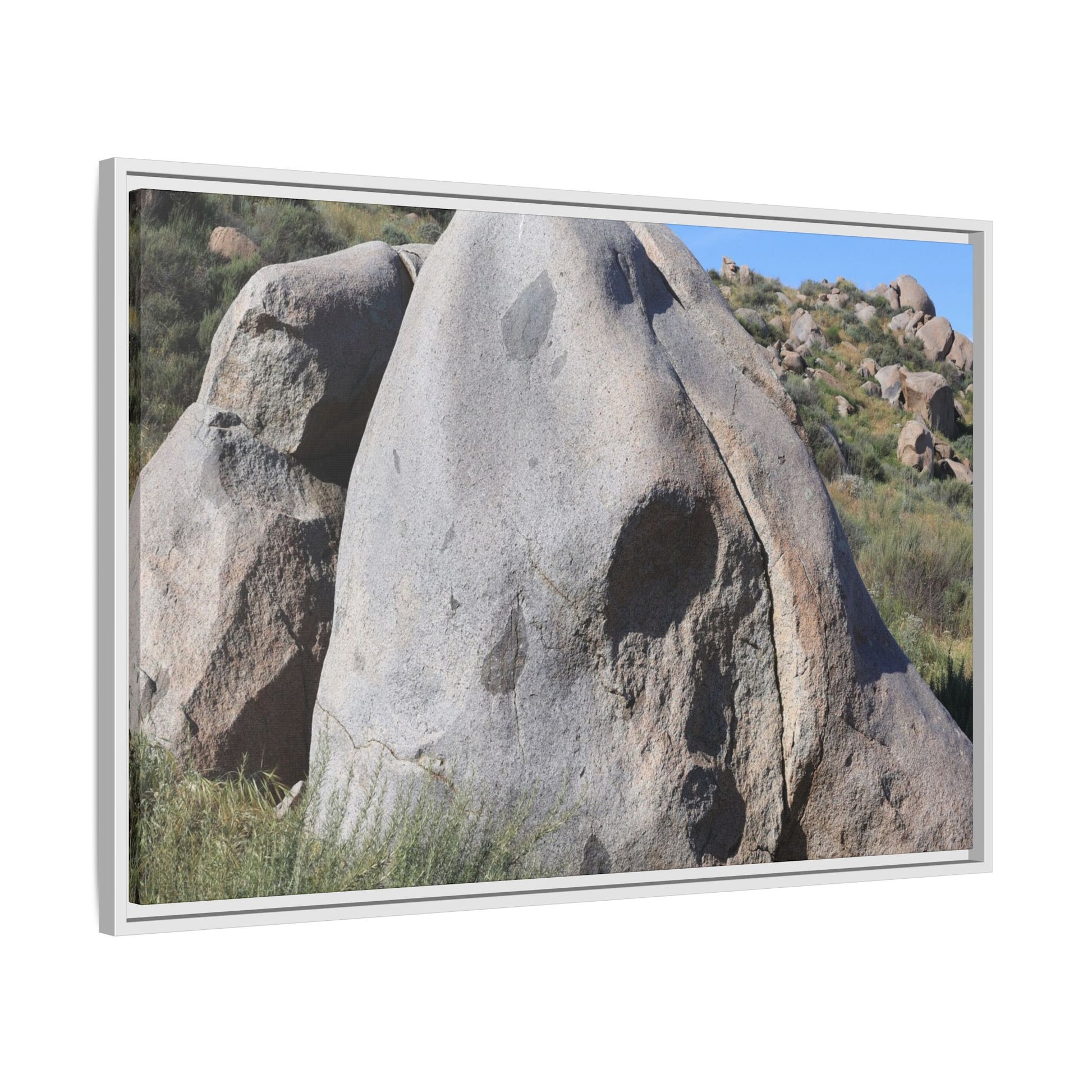 Skull Rock Desert - Unique Stretched Canvas Wall Art - Art By Earth