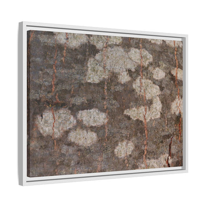 Lichen's Legacy - Unique Stretched Canvas Wall Art - Art By Earth