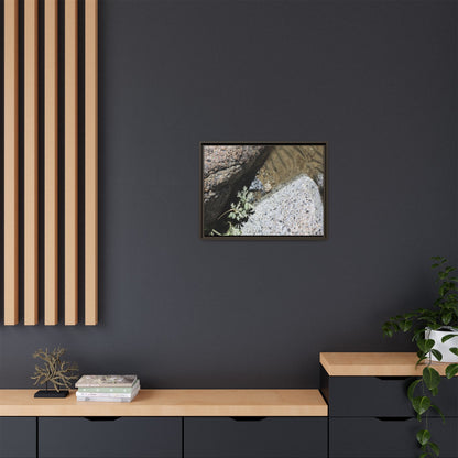 Resilience in Stone - Unique Stretched Canvas Wall Art - Art By Earth