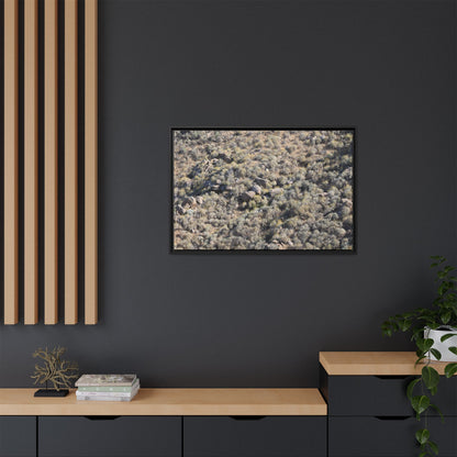 Arid Terrain Study - Unique Stretched Canvas Wall Art - Art By Earth