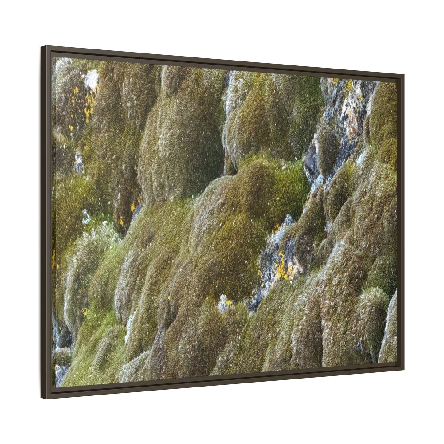 Moss Symphony - Unique Stretched Canvas Wall Art