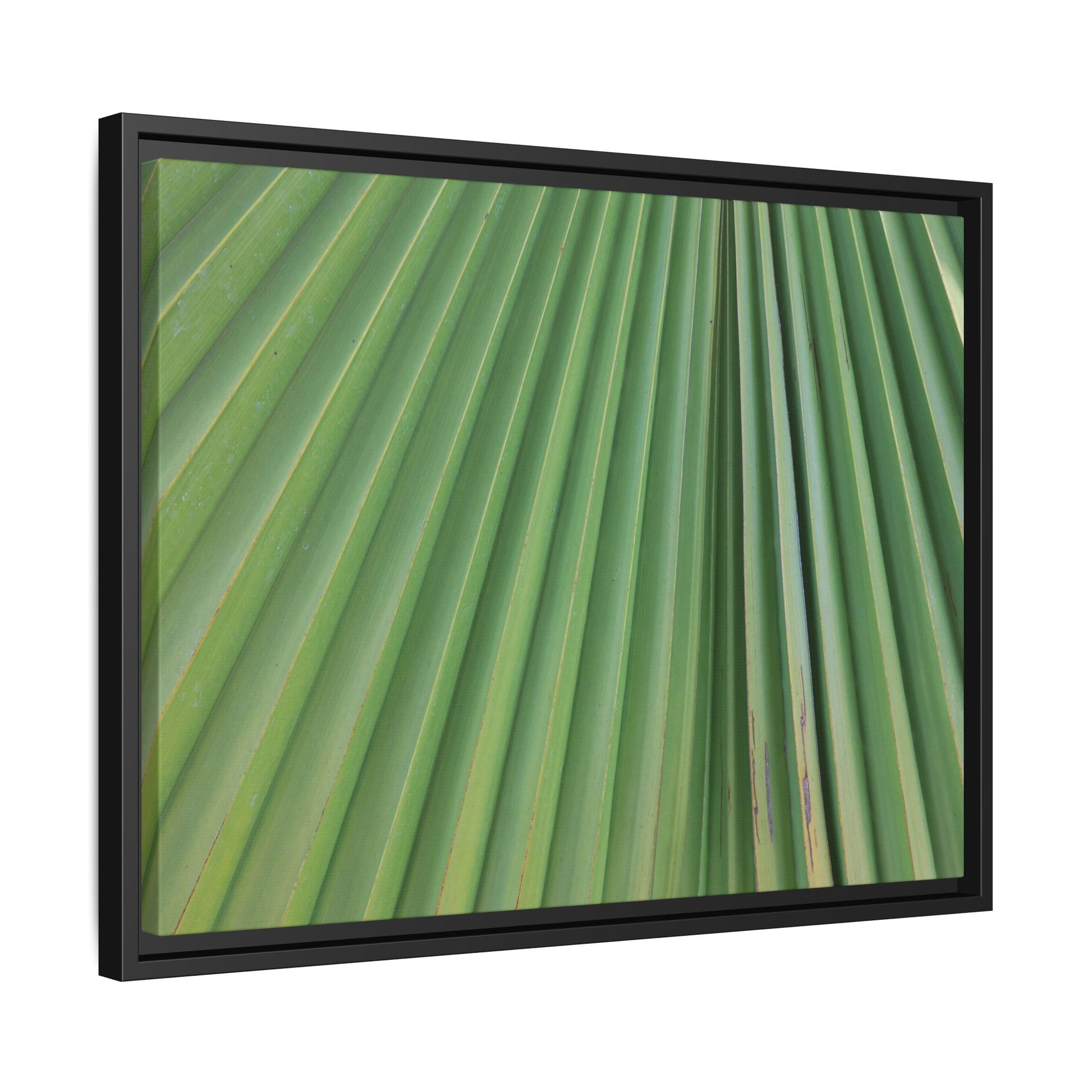 Emerald Rays - Unique Stretched Canvas Wall Art - Art By Earth