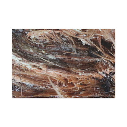 Decaying Whispers - Unique Frameless Canvas Wall Art - Art By Earth