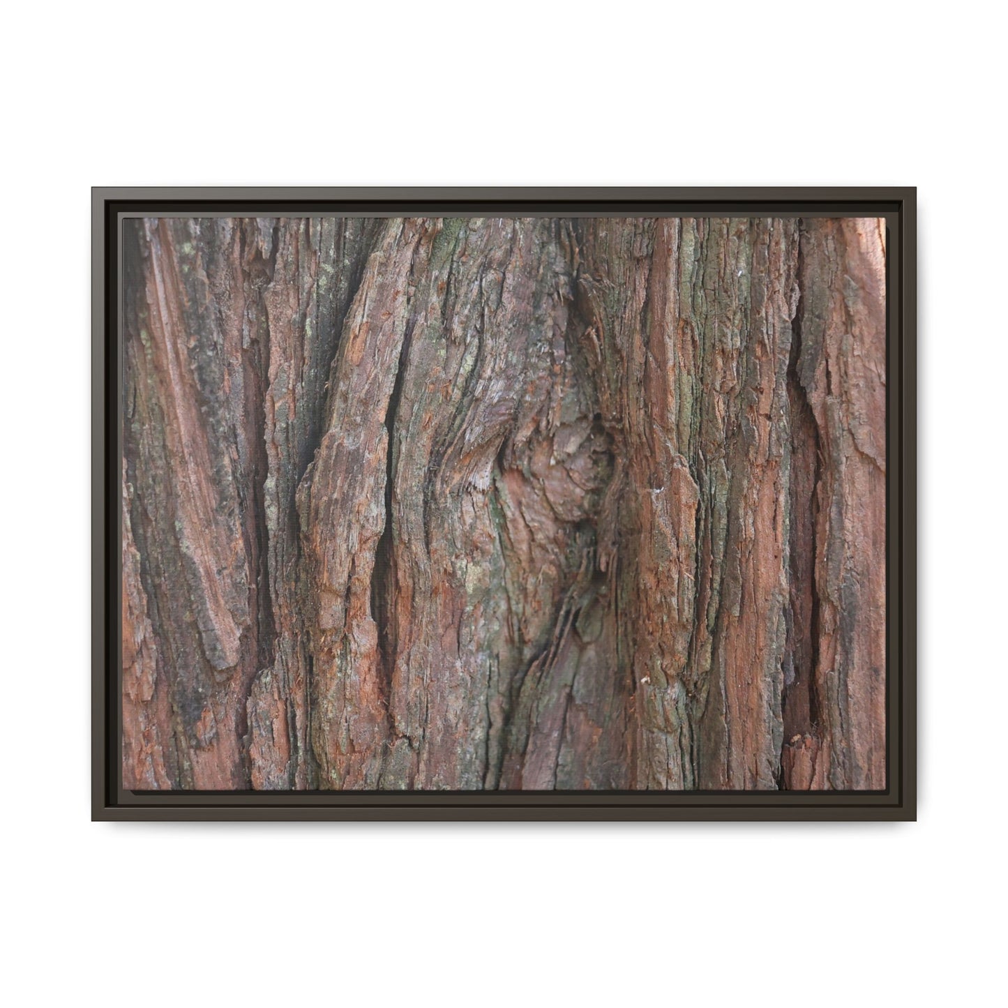 Rugged Textures - Unique Stretched Canvas Wall Art - Art By Earth