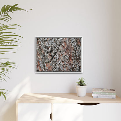 Bark Texture Symphony - Unique Stretched Canvas Wall Art - Art By Earth