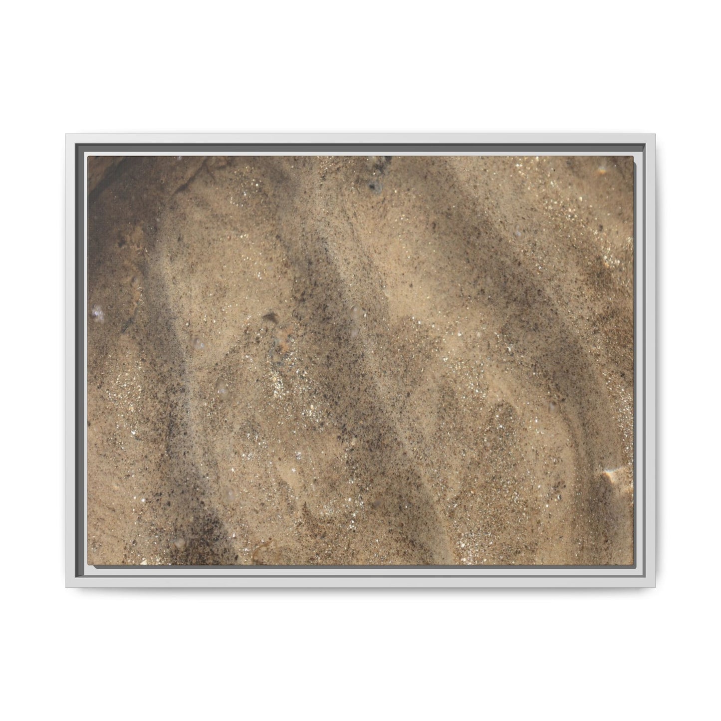 Tidal Pool Secrets - Unique Stretched Canvas Wall Art - Art By Earth