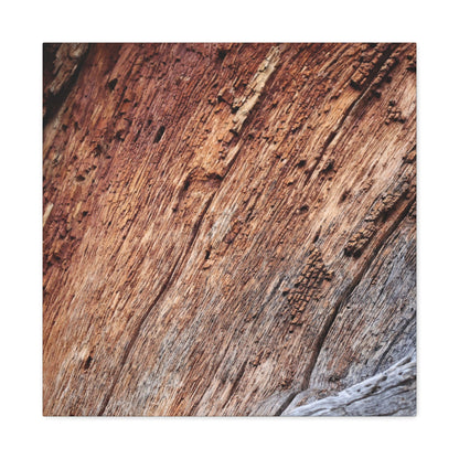 Natural Wood Grain - Unique Frameless Canvas Wall Art - Art By Earth