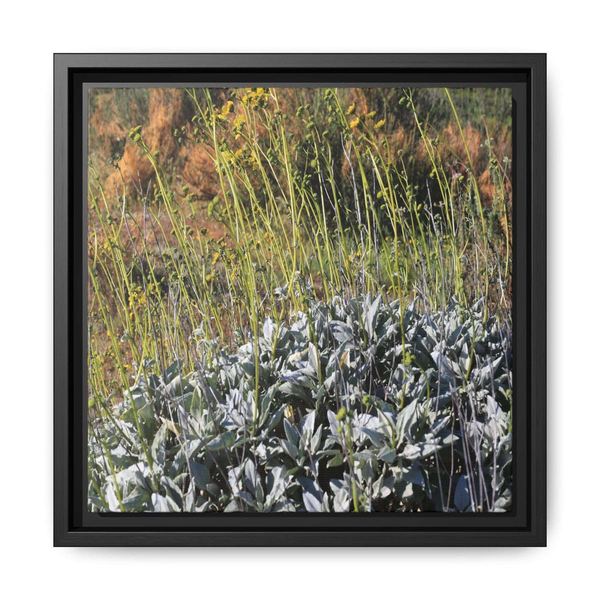 Arid Landscape with Yellow Flowers - Unique Stretched Canvas Wall Art - Art By Earth