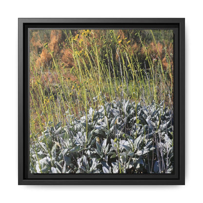 Arid Landscape with Yellow Flowers - Unique Stretched Canvas Wall Art - Art By Earth