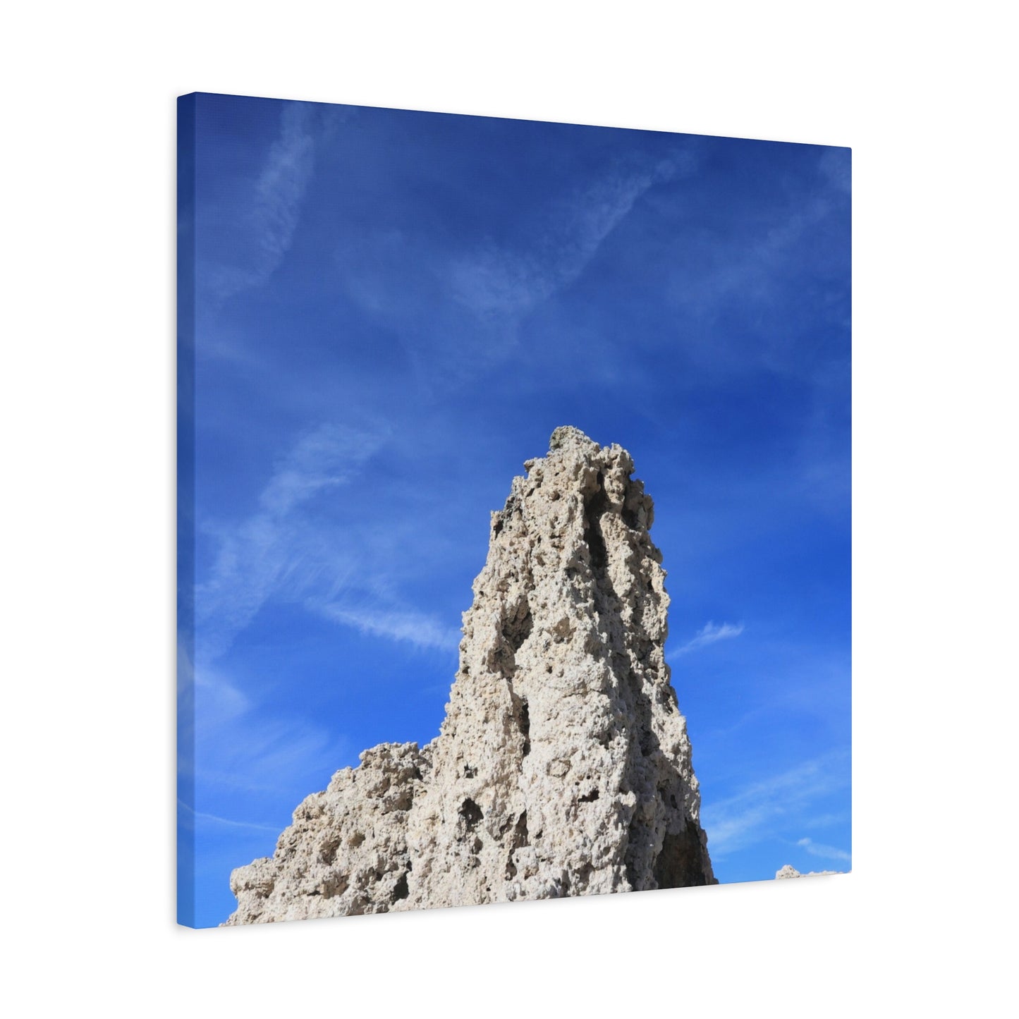 Reaching Skyward - Unique Frameless Canvas Wall Art