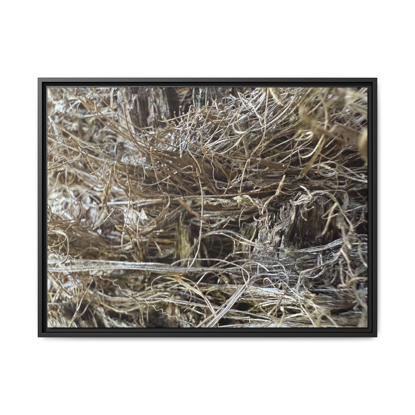 Tangled Whispers of Autumn - Unique Stretched Canvas Wall Art - Art By Earth