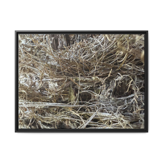 Tangled Whispers of Autumn - Unique Stretched Canvas Wall Art - Art By Earth