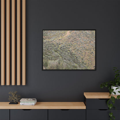 Arid Landscape with Winding Path - Unique Stretched Canvas Wall Art - Art By Earth