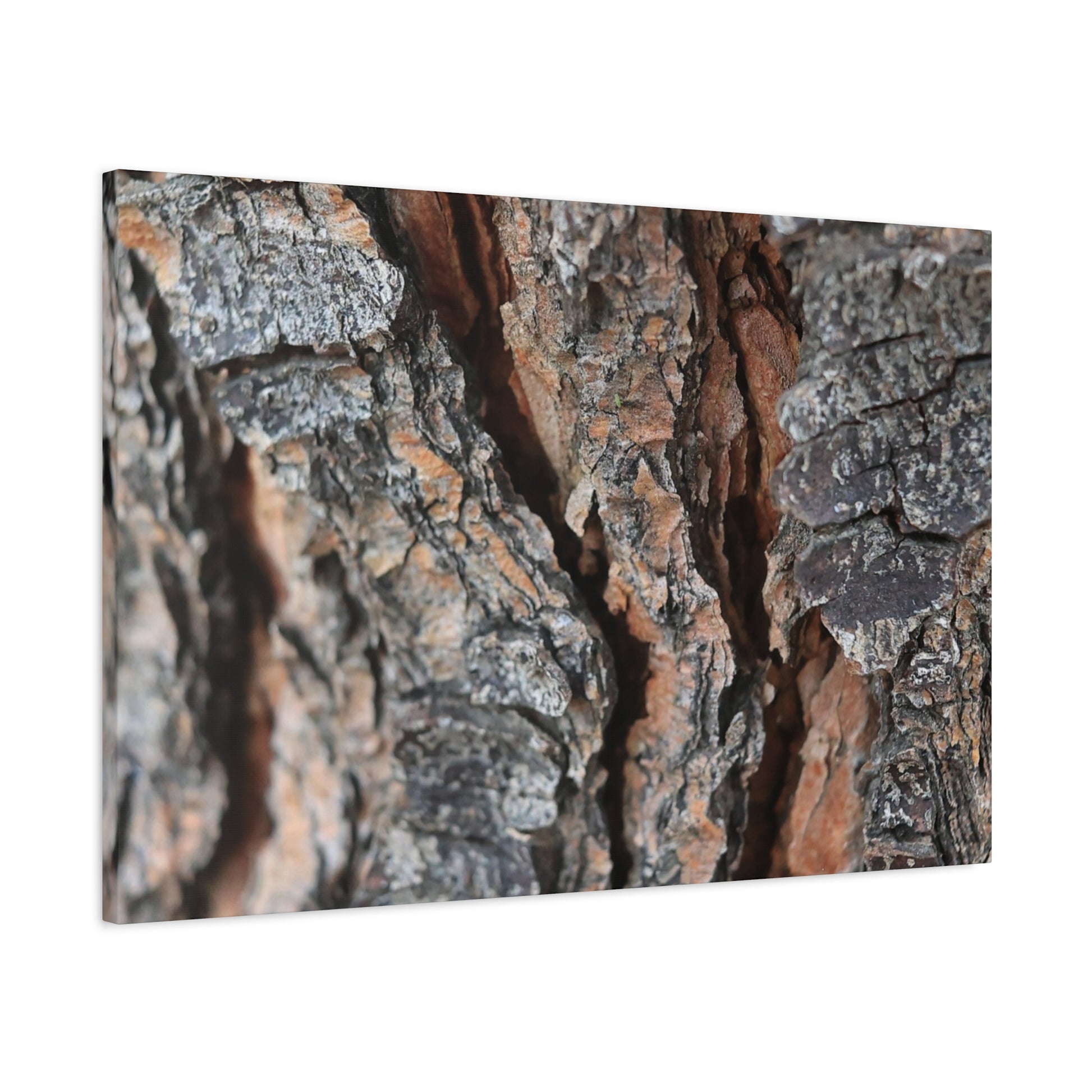 Rough Whispers - Unique Frameless Canvas Wall Art - Art By Earth