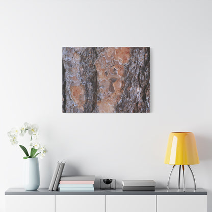 Terracotta Textures - Unique Frameless Canvas Wall Art - Art By Earth