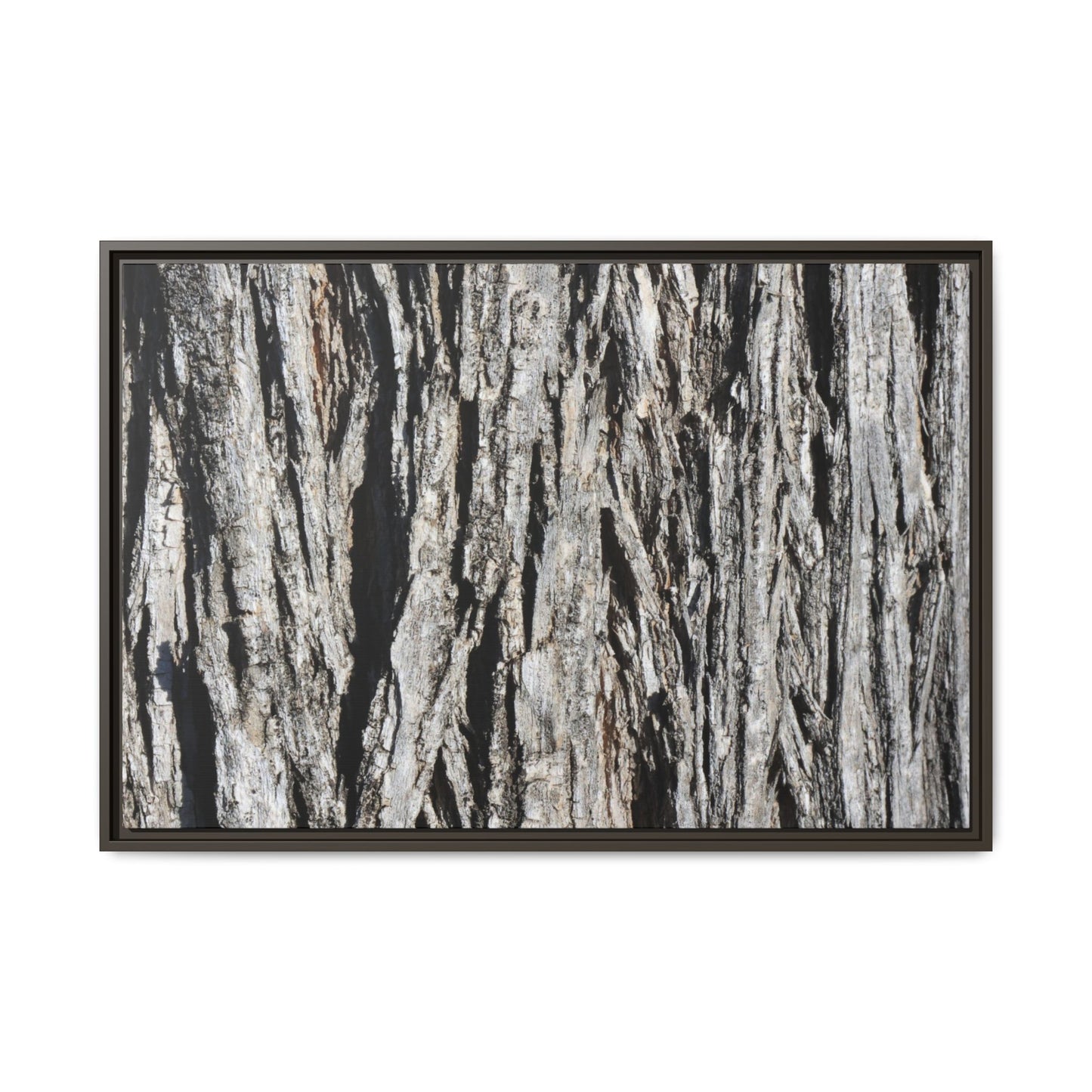 Nature's Abstract - Unique Stretched Canvas Wall Art - Art By Earth