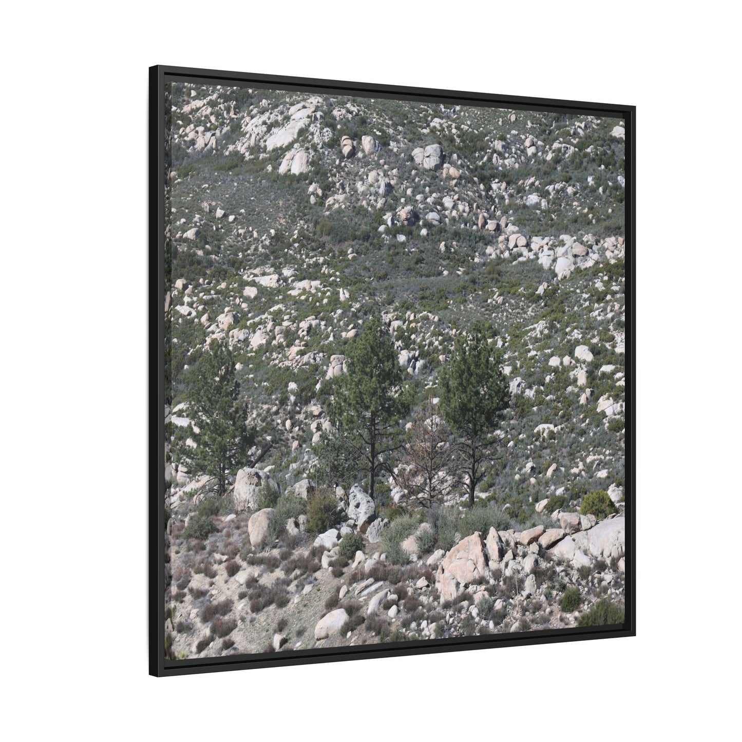 Rocky Hillside with Pine Trees - Unique Stretched Canvas Wall Art - Art By Earth