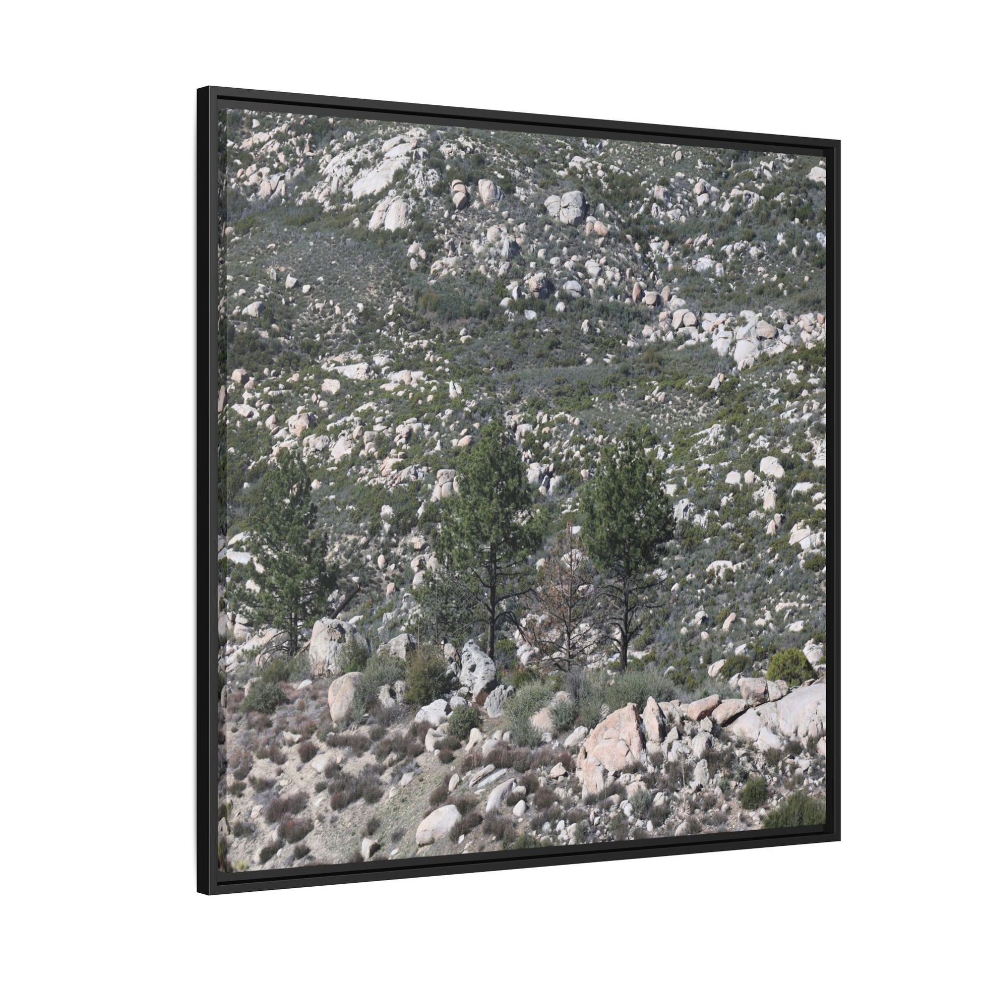 Rocky Hillside with Pine Trees - Unique Stretched Canvas Wall Art - Art By Earth