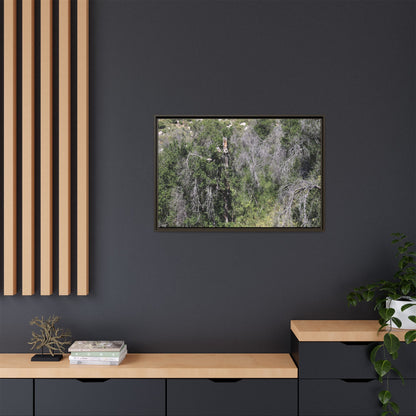 Forest Decline - Unique Stretched Canvas Wall Art
