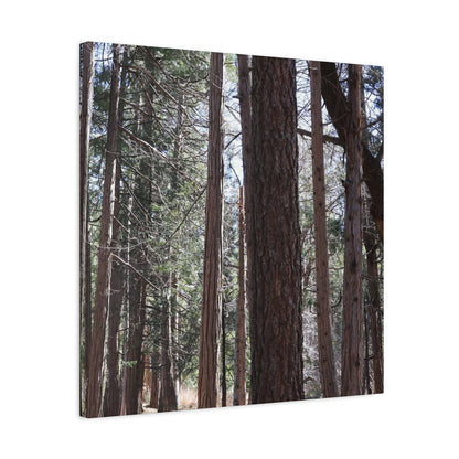 Vertical Sentinels - Unique Frameless Canvas Wall Art - Art By Earth