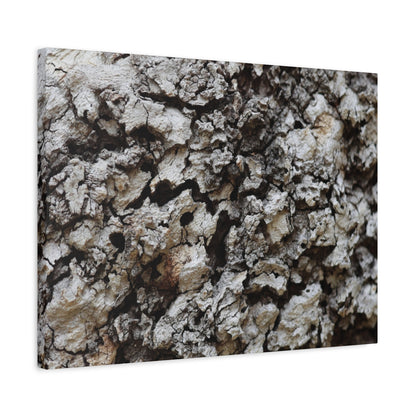 Cracked Earth Tapestry - Unique Frameless Canvas Wall Art - Art By Earth