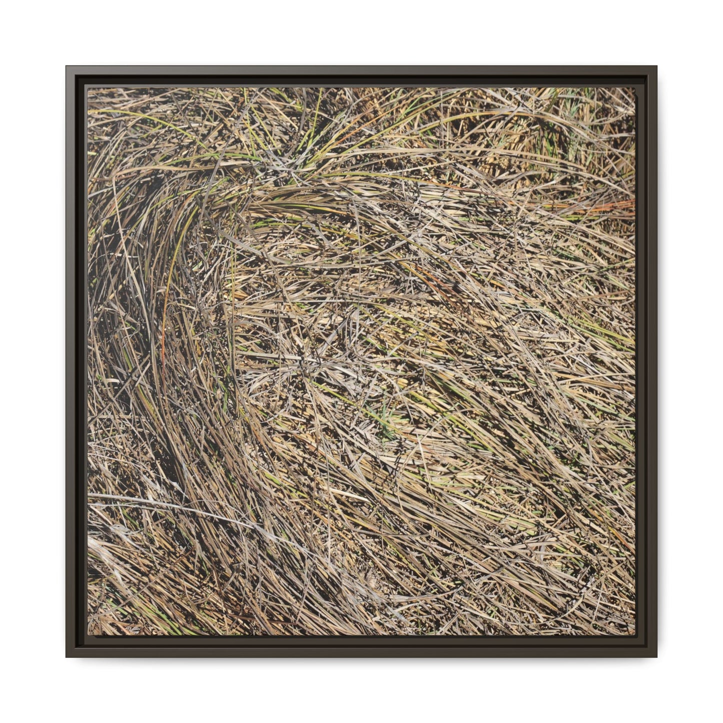 Tangled Grass Symphony - Unique Stretched Canvas Wall Art - Art By Earth