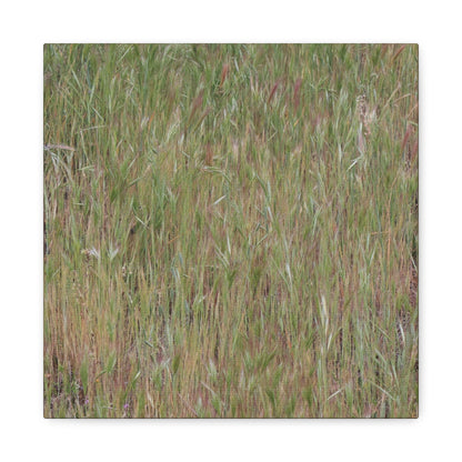 Whispers of the Prairie - Unique Frameless Canvas Wall Art - Art By Earth
