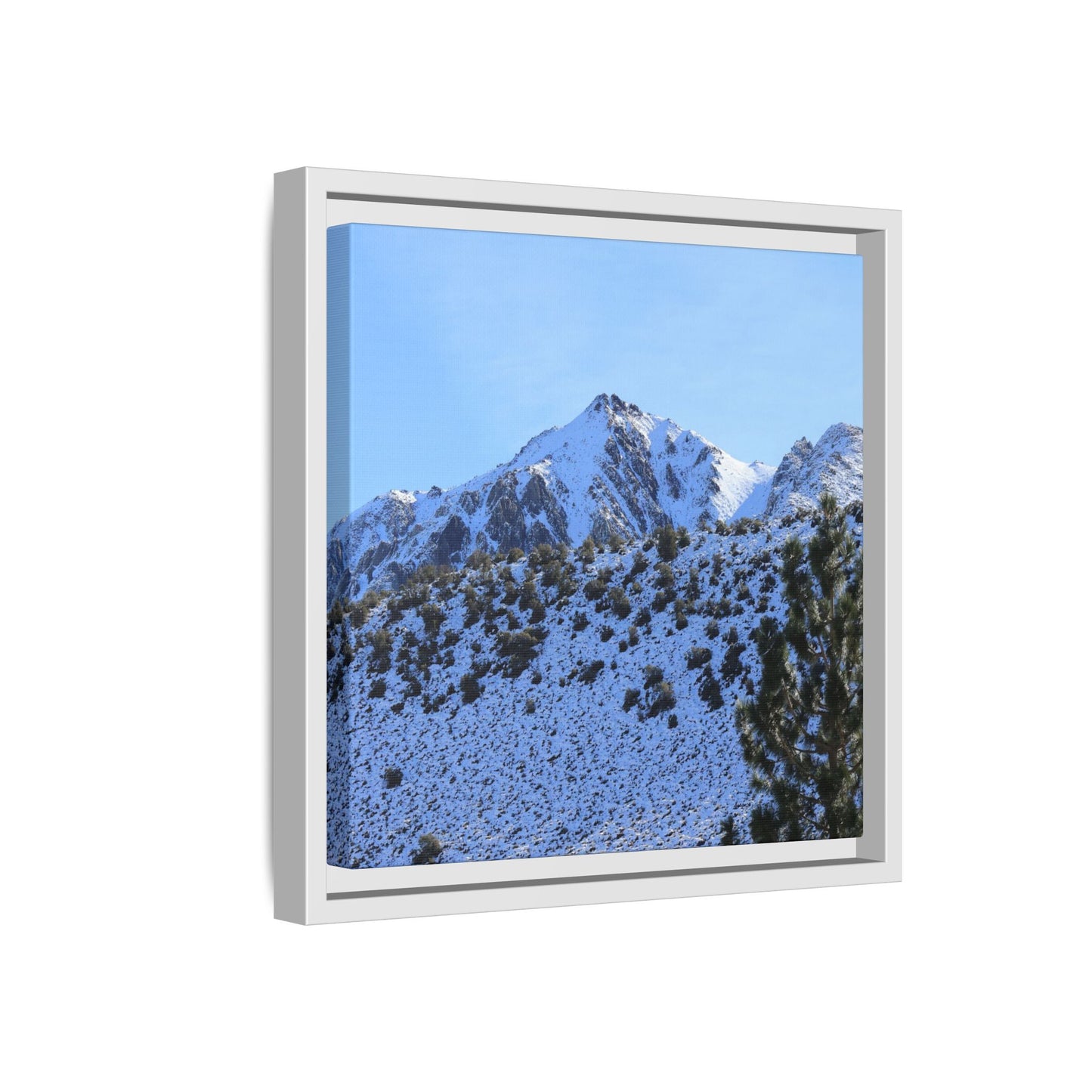 Snow's Embrace - Unique Stretched Canvas Wall Art