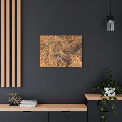Dried Grasses - Unique Frameless Canvas Wall Art - Art By Earth