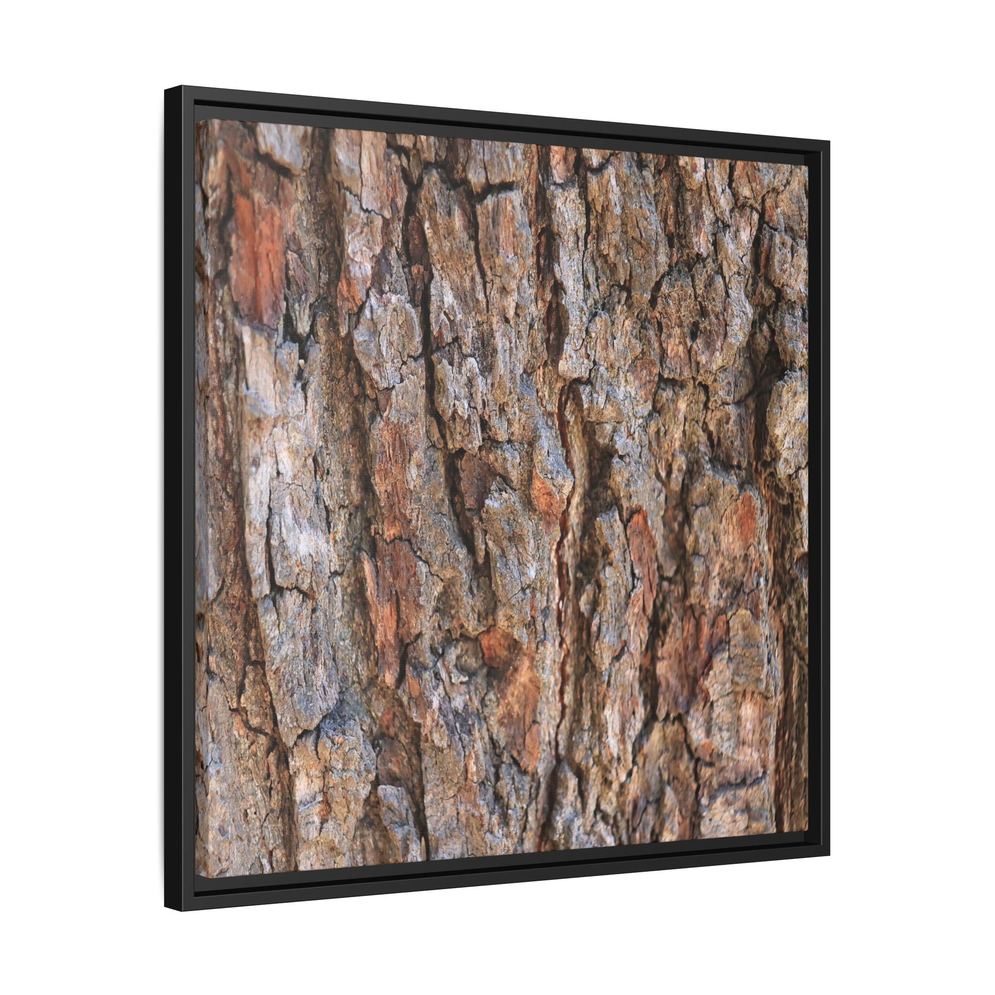 Tree's Timeworn Tale - Unique Stretched Canvas Wall Art - Art By Earth