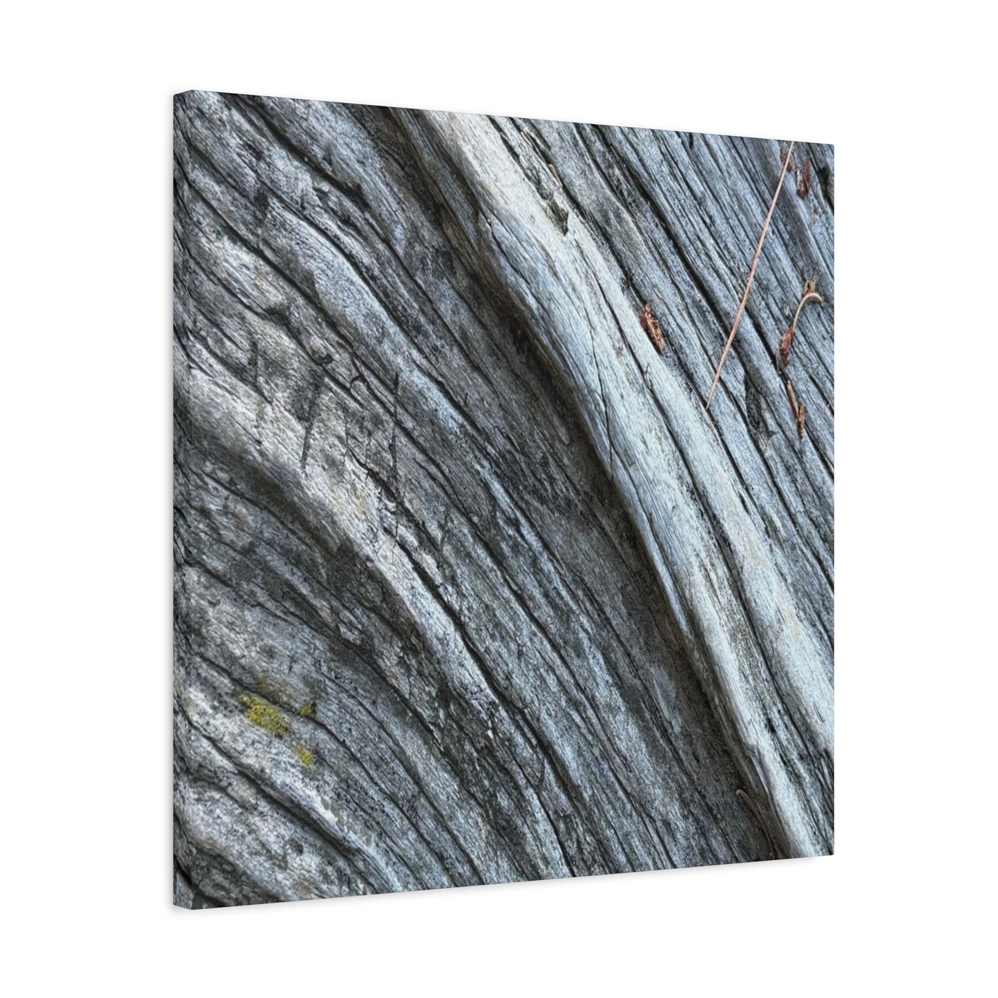 Aged Surface - Unique Frameless Canvas Wall Art - Art By Earth