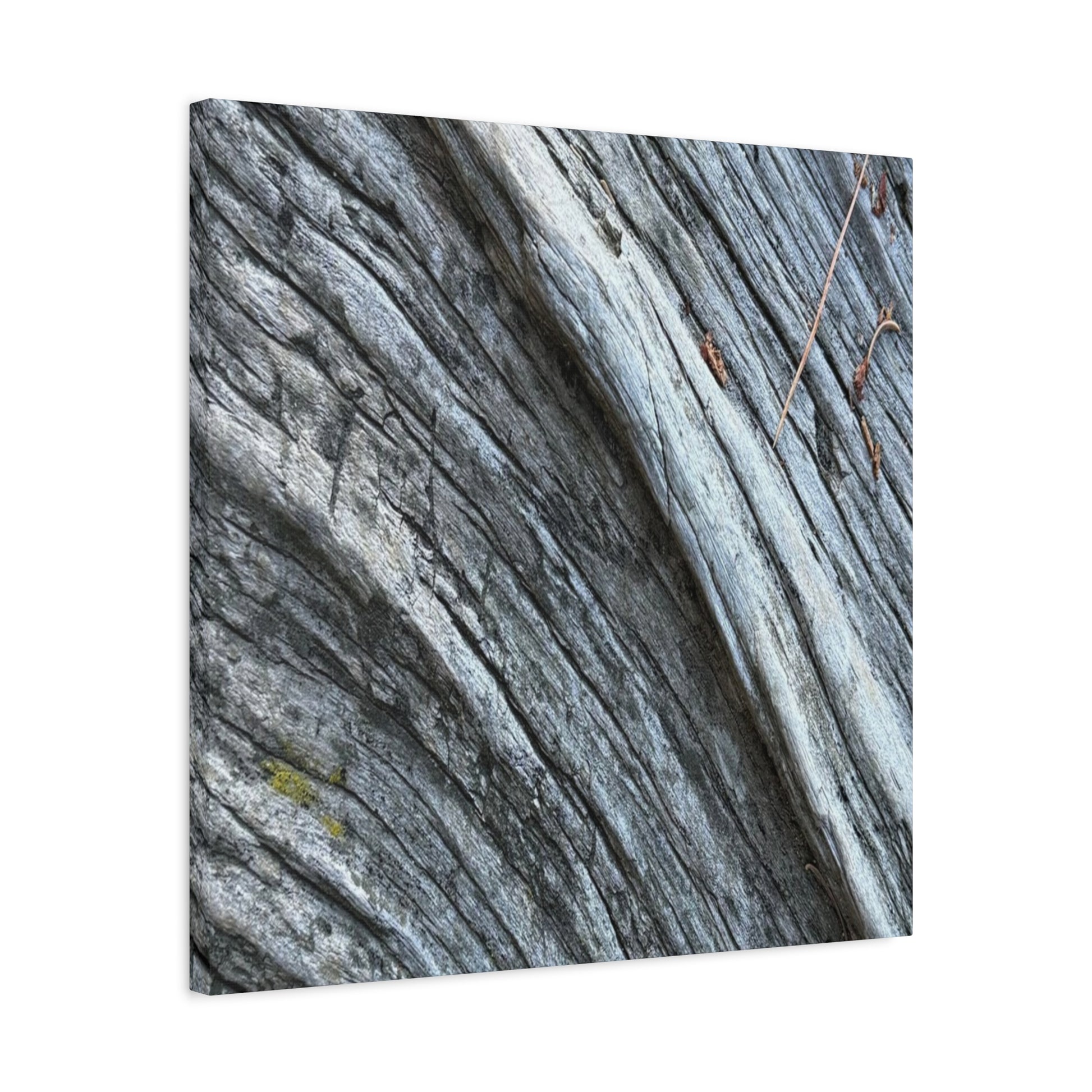 Aged Surface - Unique Frameless Canvas Wall Art - Art By Earth