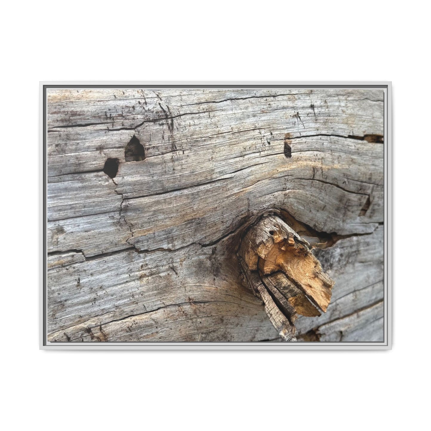 Weathered Wood Texture - Unique Stretched Canvas Wall Art - Art By Earth