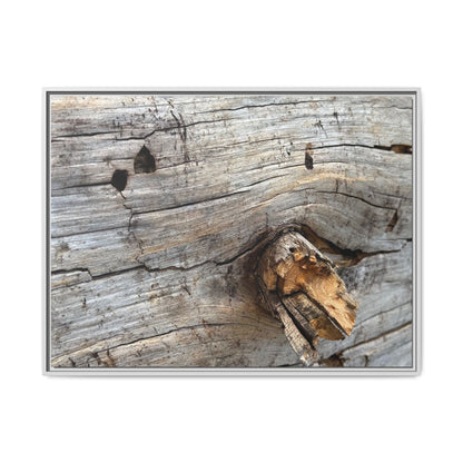 Weathered Wood Texture - Unique Stretched Canvas Wall Art - Art By Earth