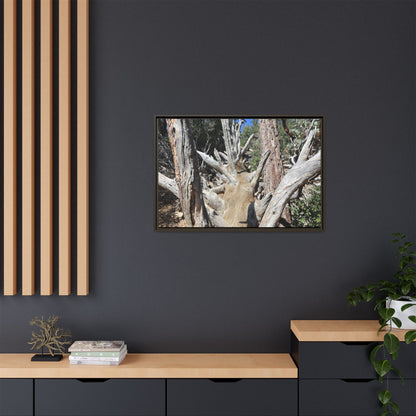 Forest Sentinels - Unique Stretched Canvas Wall Art