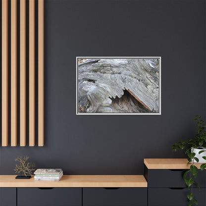 Driftwood Dreams - Unique Stretched Canvas Wall Art - Art By Earth