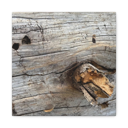 Weathered Wood Portrait - Unique Frameless Canvas Wall Art - Art By Earth