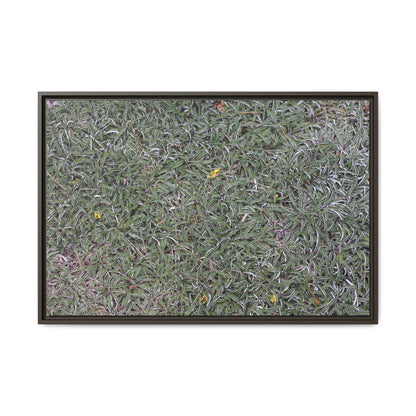Grassy Texture - Unique Stretched Canvas Wall Art - Art By Earth