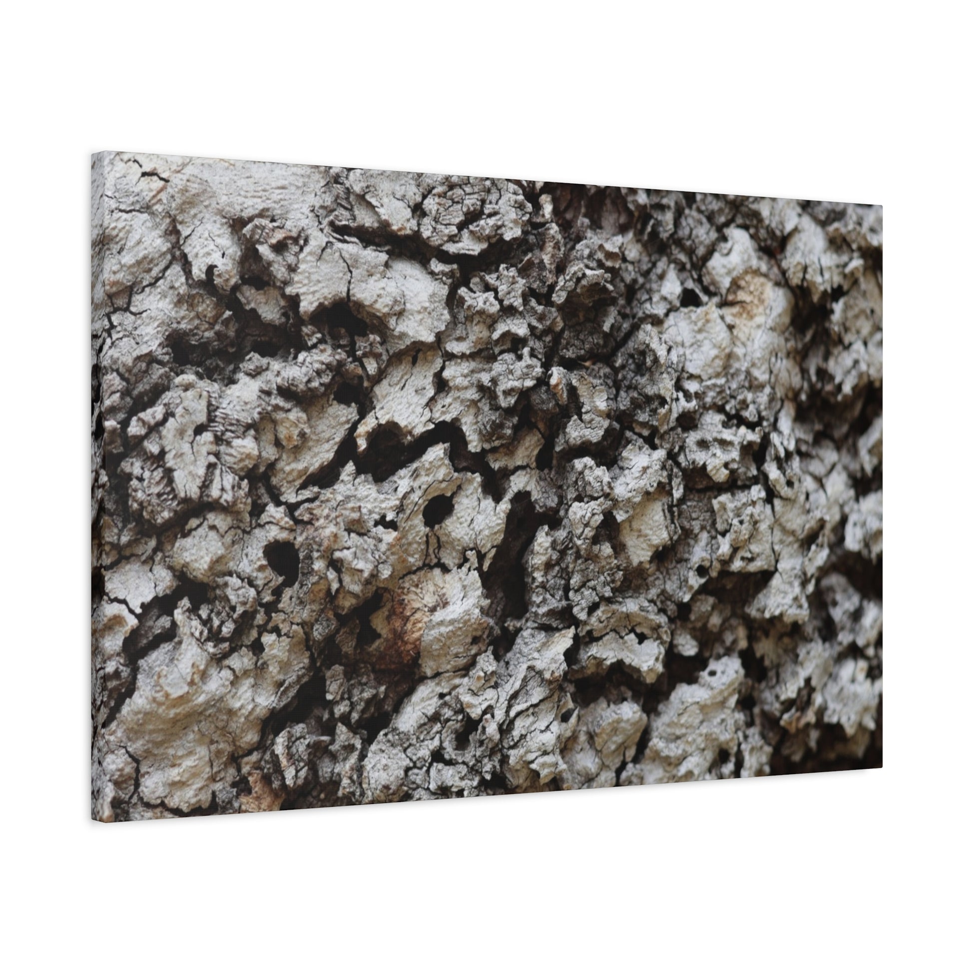 Cracked Earth Tapestry - Unique Frameless Canvas Wall Art - Art By Earth