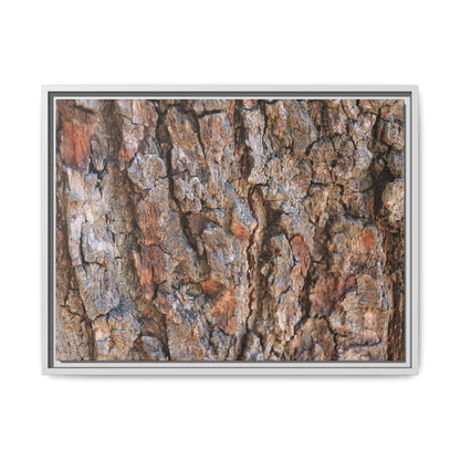 Tree's Timeworn Tale - Unique Stretched Canvas Wall Art - Art By Earth