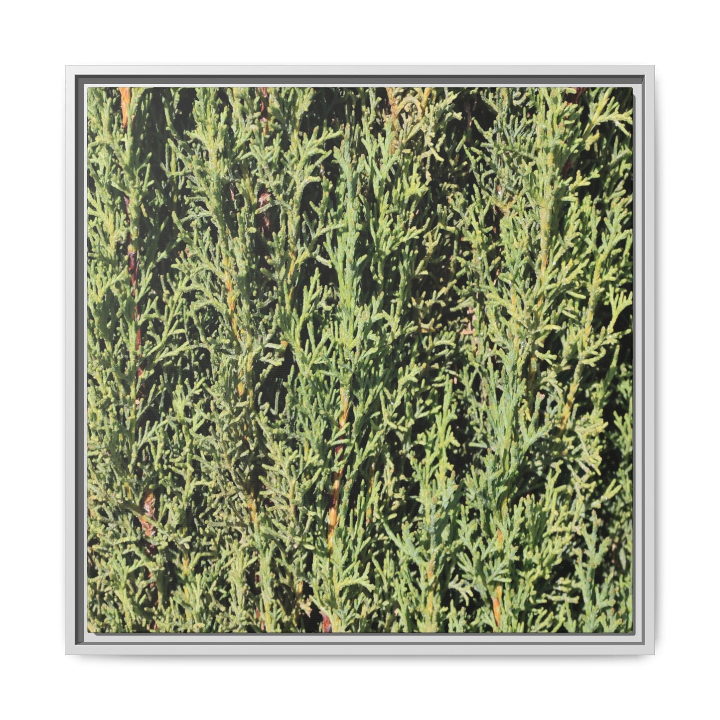 Emerald Labyrinth - Unique Stretched Canvas Wall Art - Art By Earth