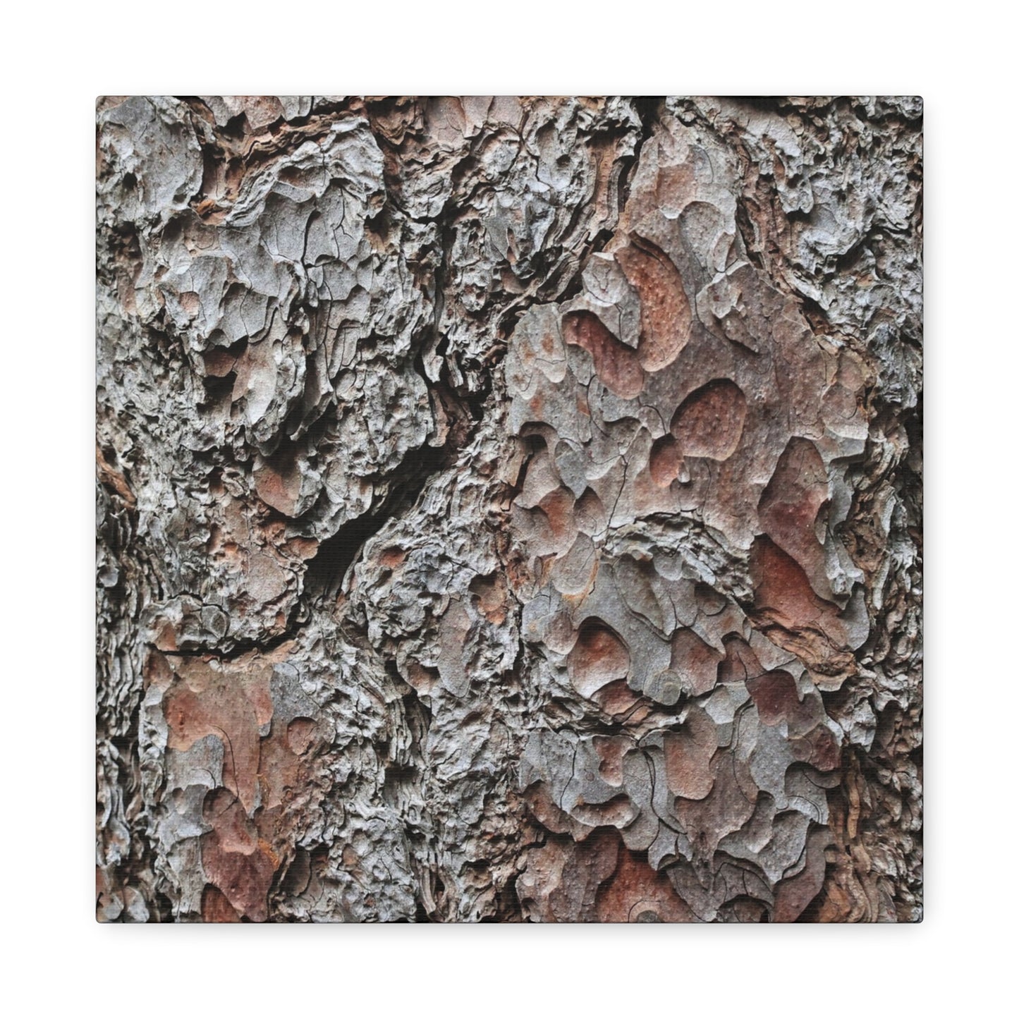 Textured Whispers of Bark - Unique Frameless Canvas Wall Art - Art By Earth